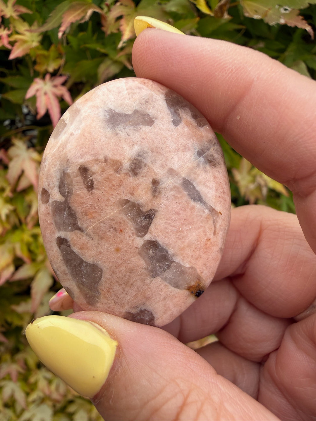 Graphic Feldspar Smoky Quartz in Feldspar Palmstone