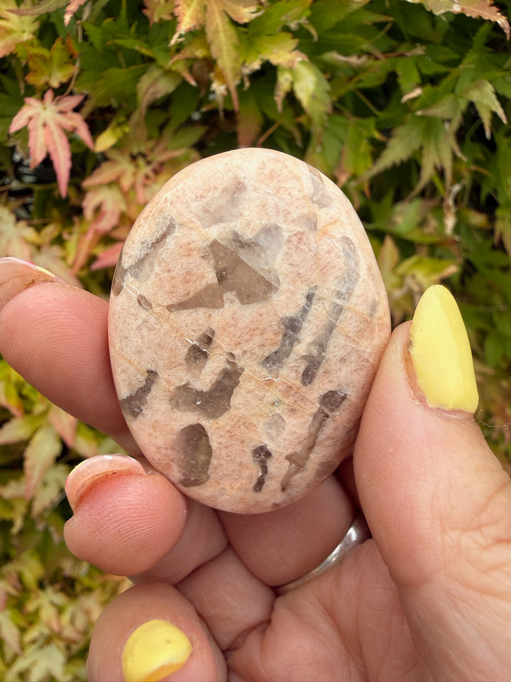 Graphic Feldspar Smoky Quartz in Feldspar Palmstone