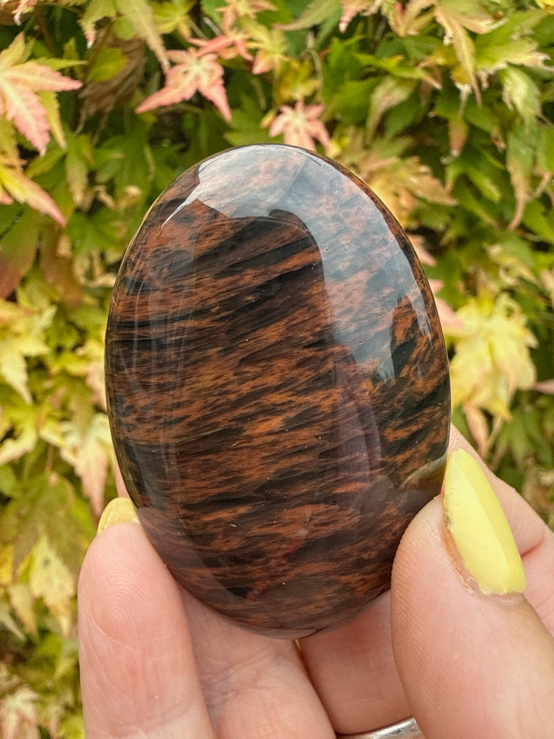 Mahogany Obsidian Palmstone