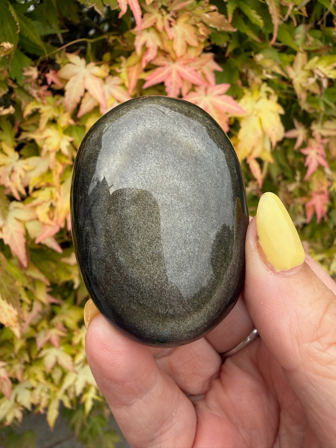 Gold Sheen Obsidian Palmstone