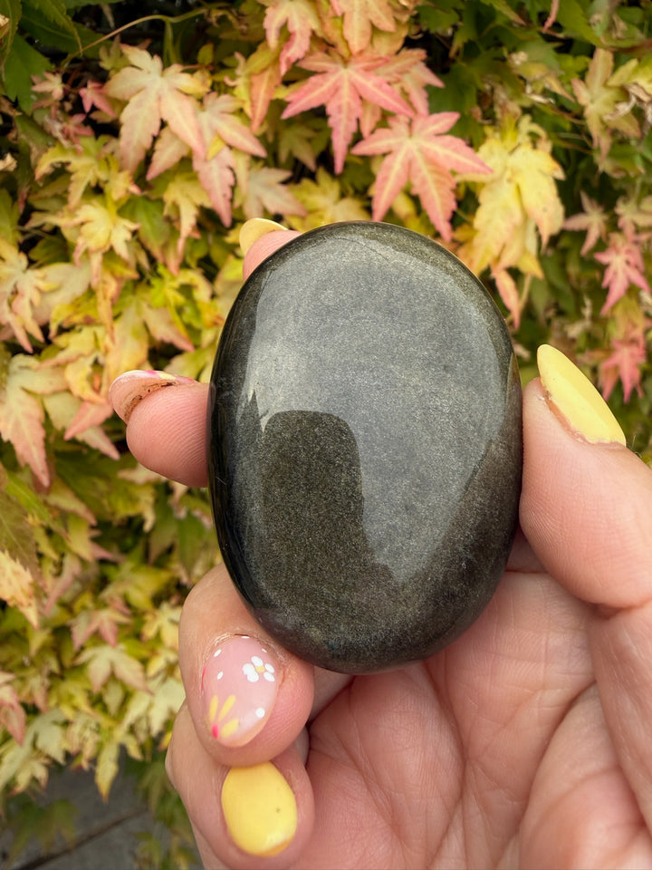 Gold Sheen Obsidian Palmstone