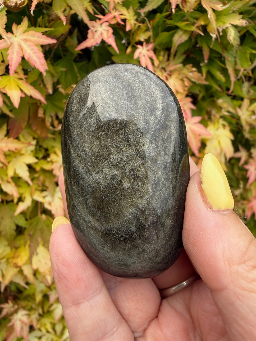Gold Sheen Obsidian Palmstone
