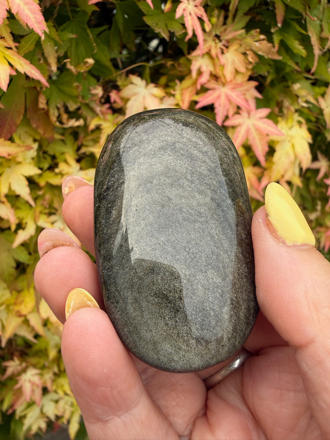 Gold Sheen Obsidian Palmstone