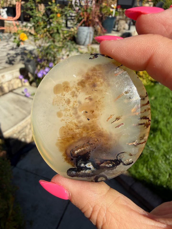 Natural Dendritic Agate Palmstone from Madagascar