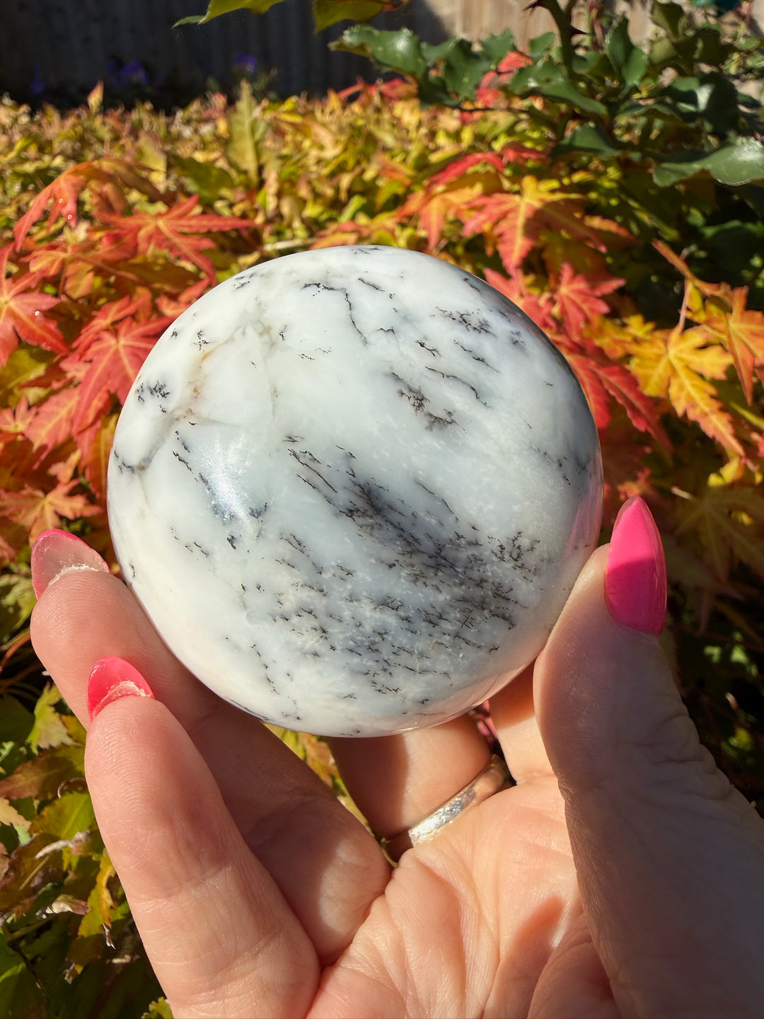 Natural Dendritic Opal Merlinite Palmstone