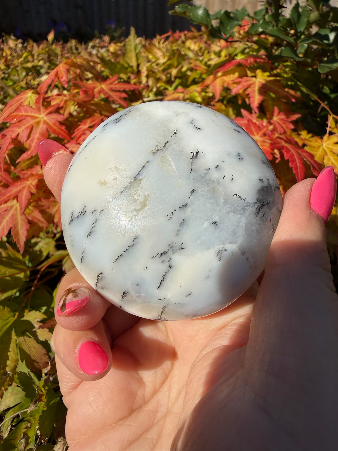 Natural Dendritic Opal Merlinite Palmstone