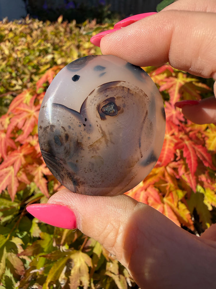 Natural Dendritic Agate Palmstone from Madagascar