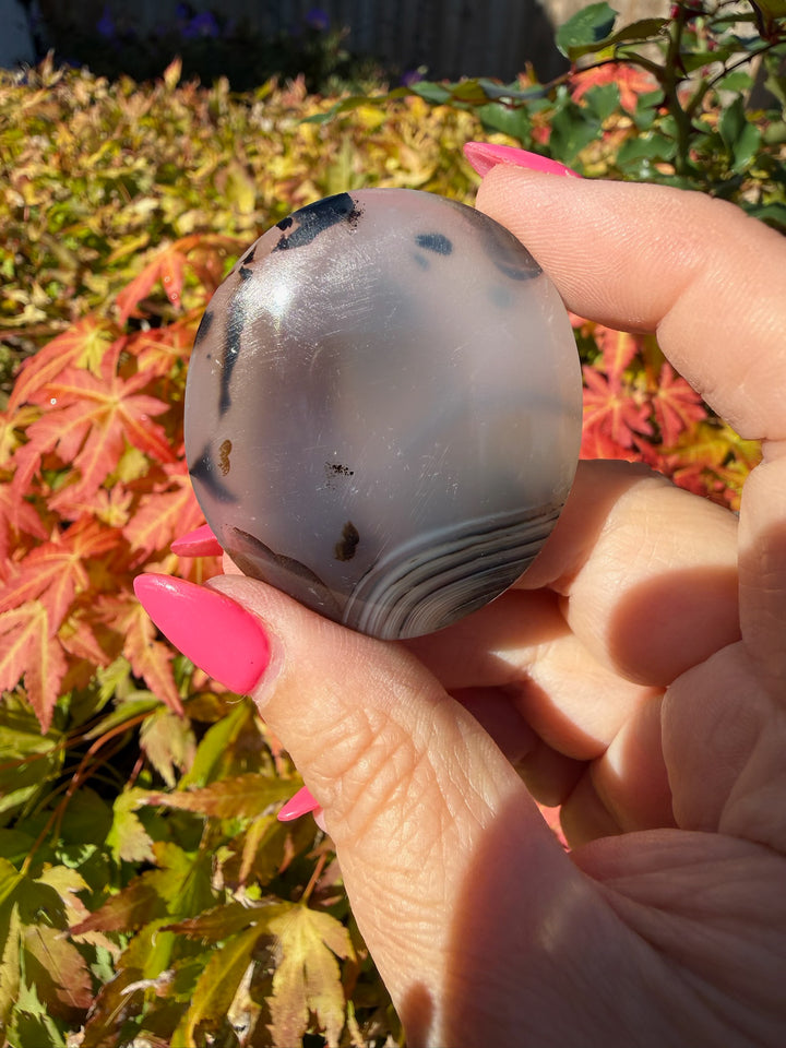 Natural Dendritic Agate Palmstone from Madagascar