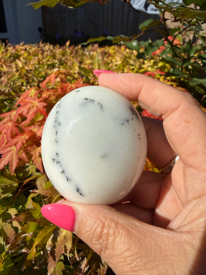 Natural Merlinite Dendritic Opal Palmstone