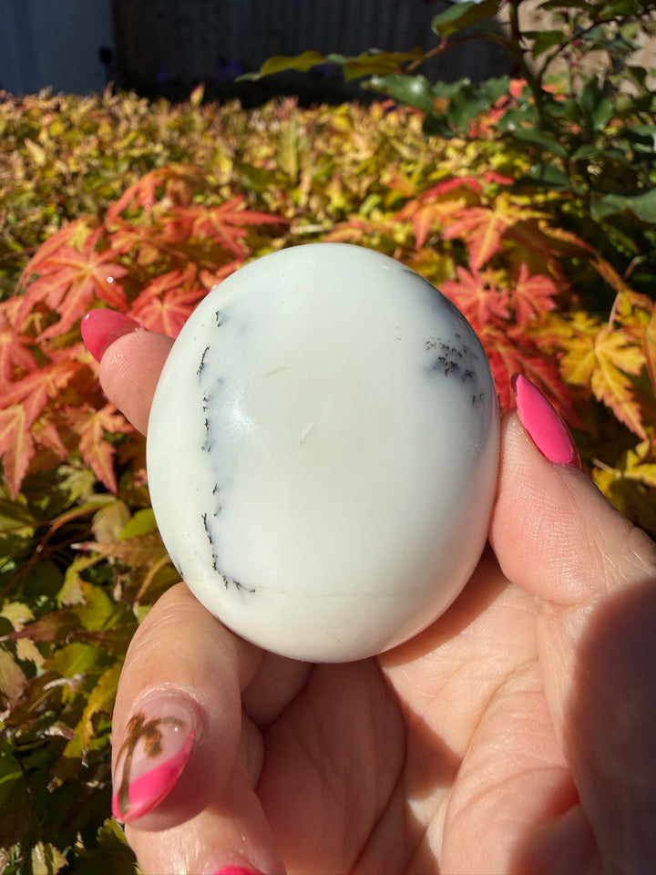 Natural Merlinite Dendritic Opal Palmstone