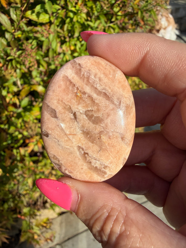 Graphic Feldpar with Smoky Quartz Palmstone