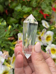 24 Facet Clear Quartz Vogel with Blue Feathers