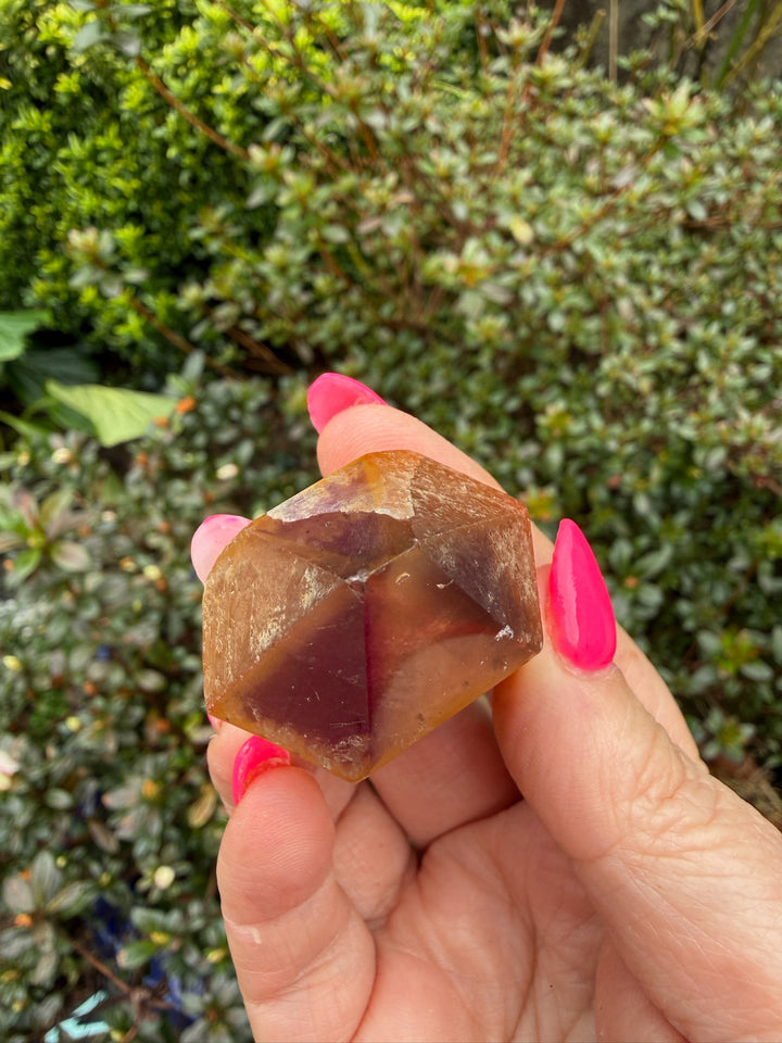 Natural Dreamcoat Lemurian Quartz Point