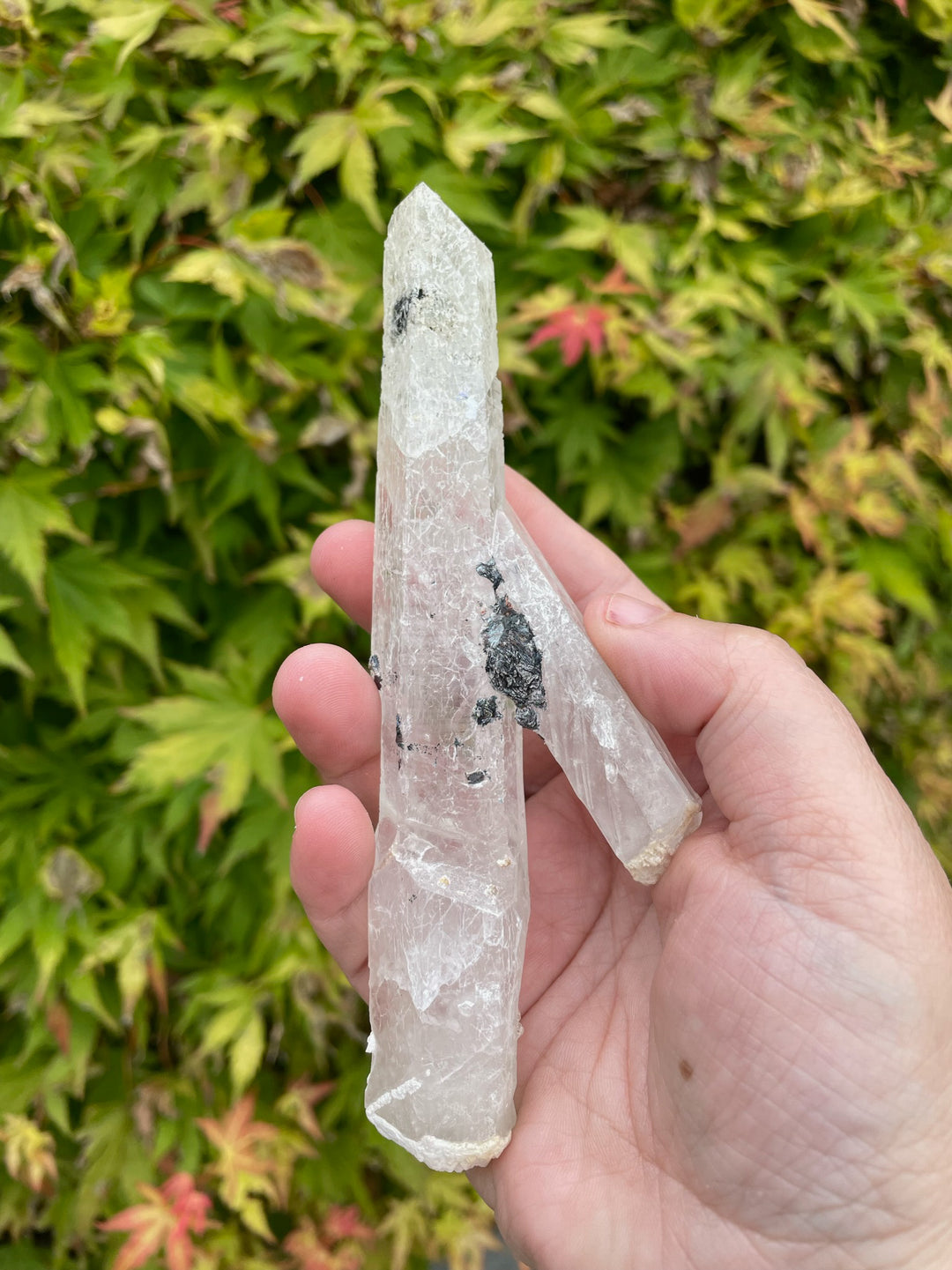 Quartz and Specular Hematite Specimen
