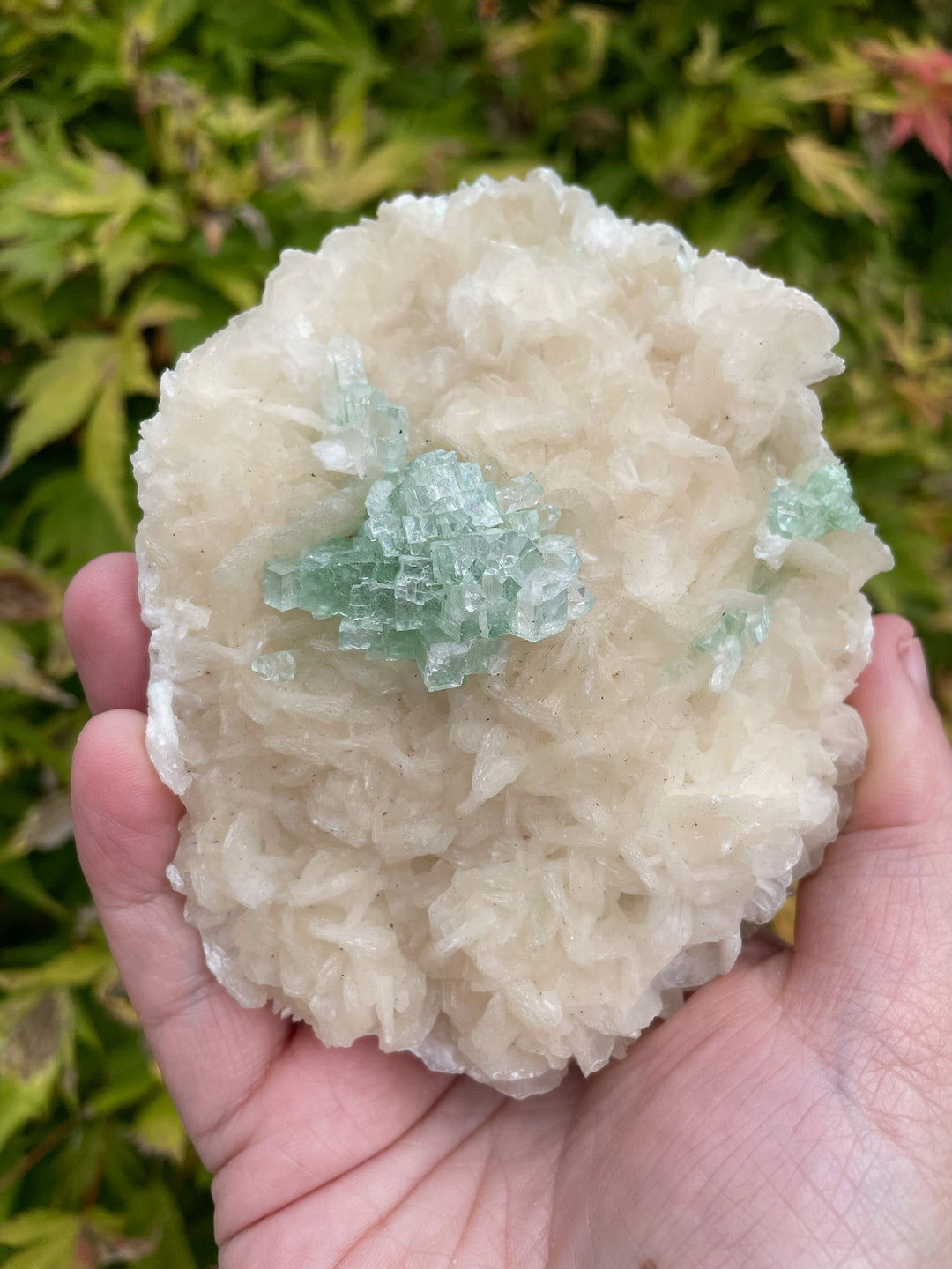 Disco Ball Green Apophyllite Specimen