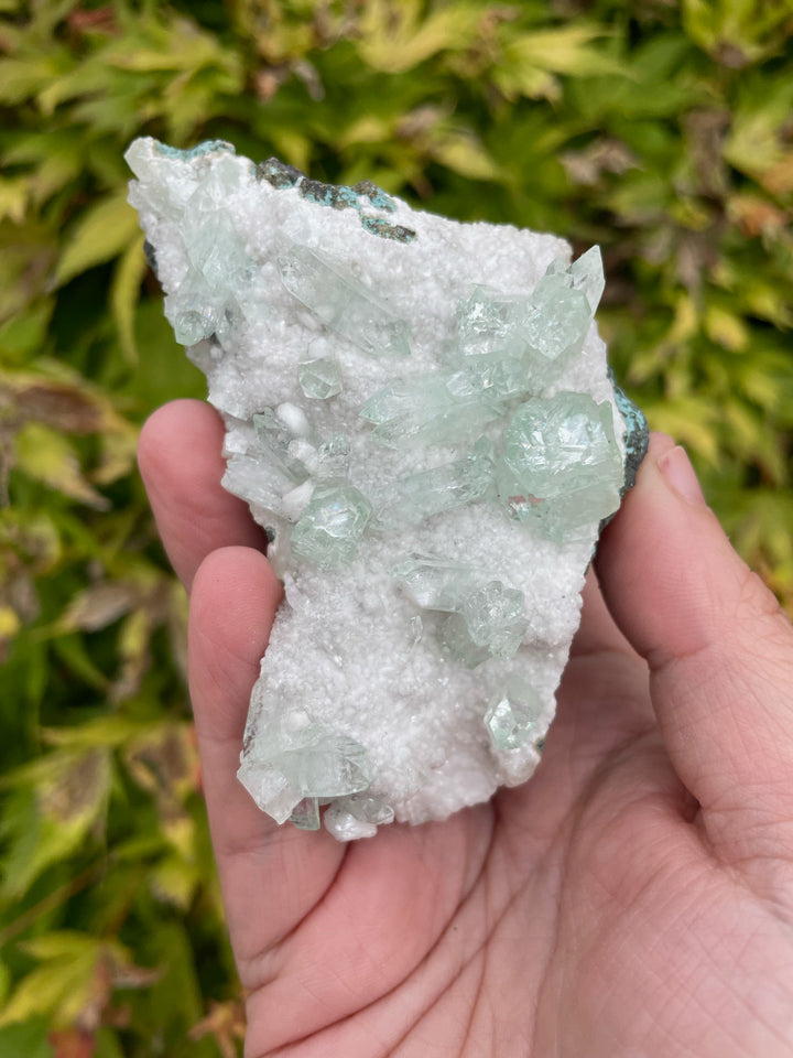 Green Apophyllite Specimen