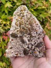 Load image into Gallery viewer, Smoky Quartz and Garnet Specimen
