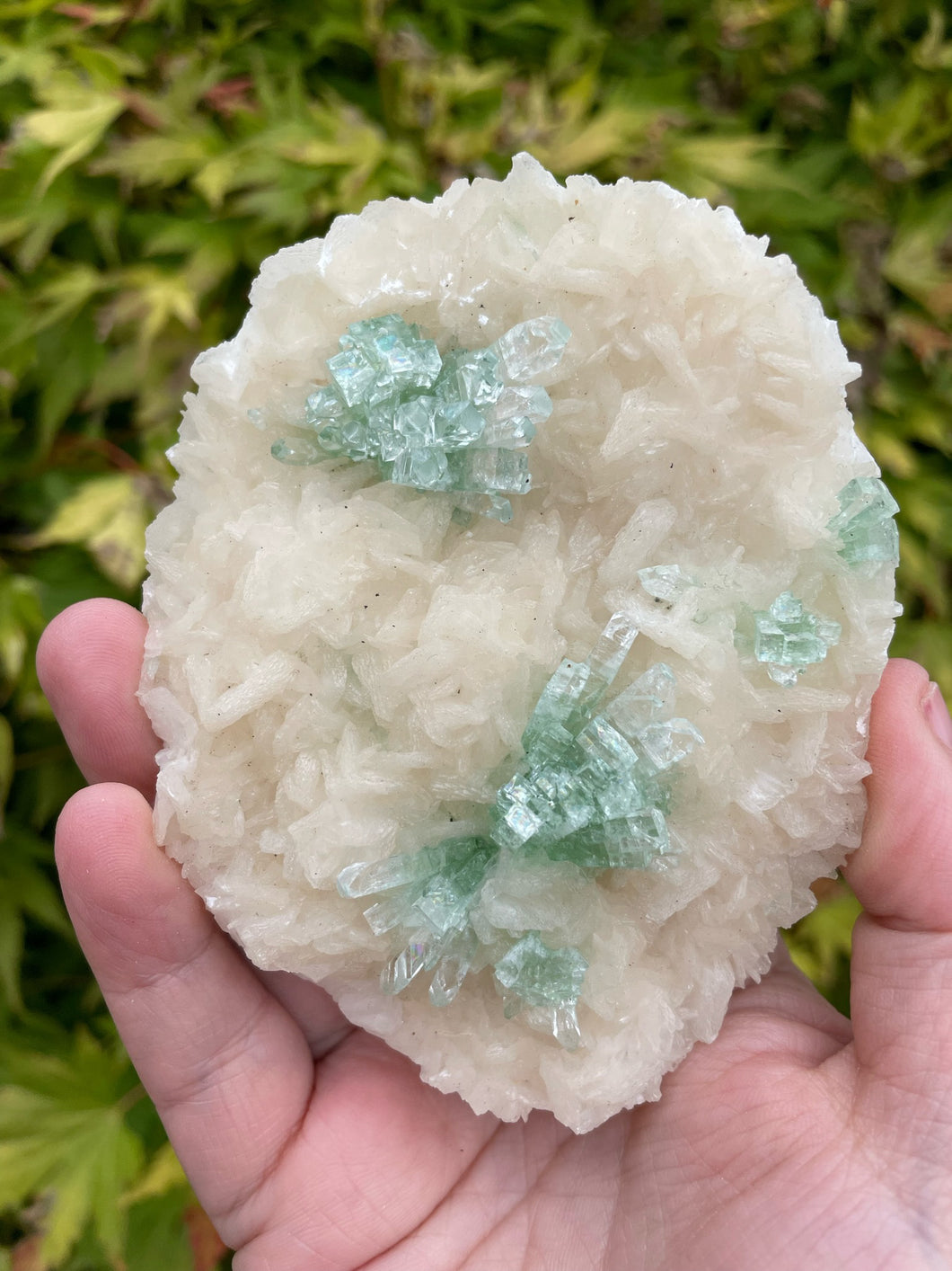 Disco Ball Apophyllite Specimen