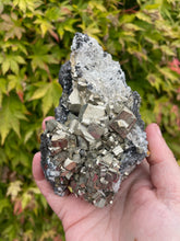 Load image into Gallery viewer, Pyrite and Galena Specimen
