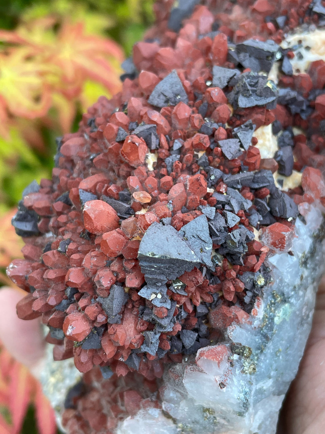 Red Quartz and Pyrite Specimen
