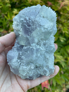Green and Purple Fluorite Specimen