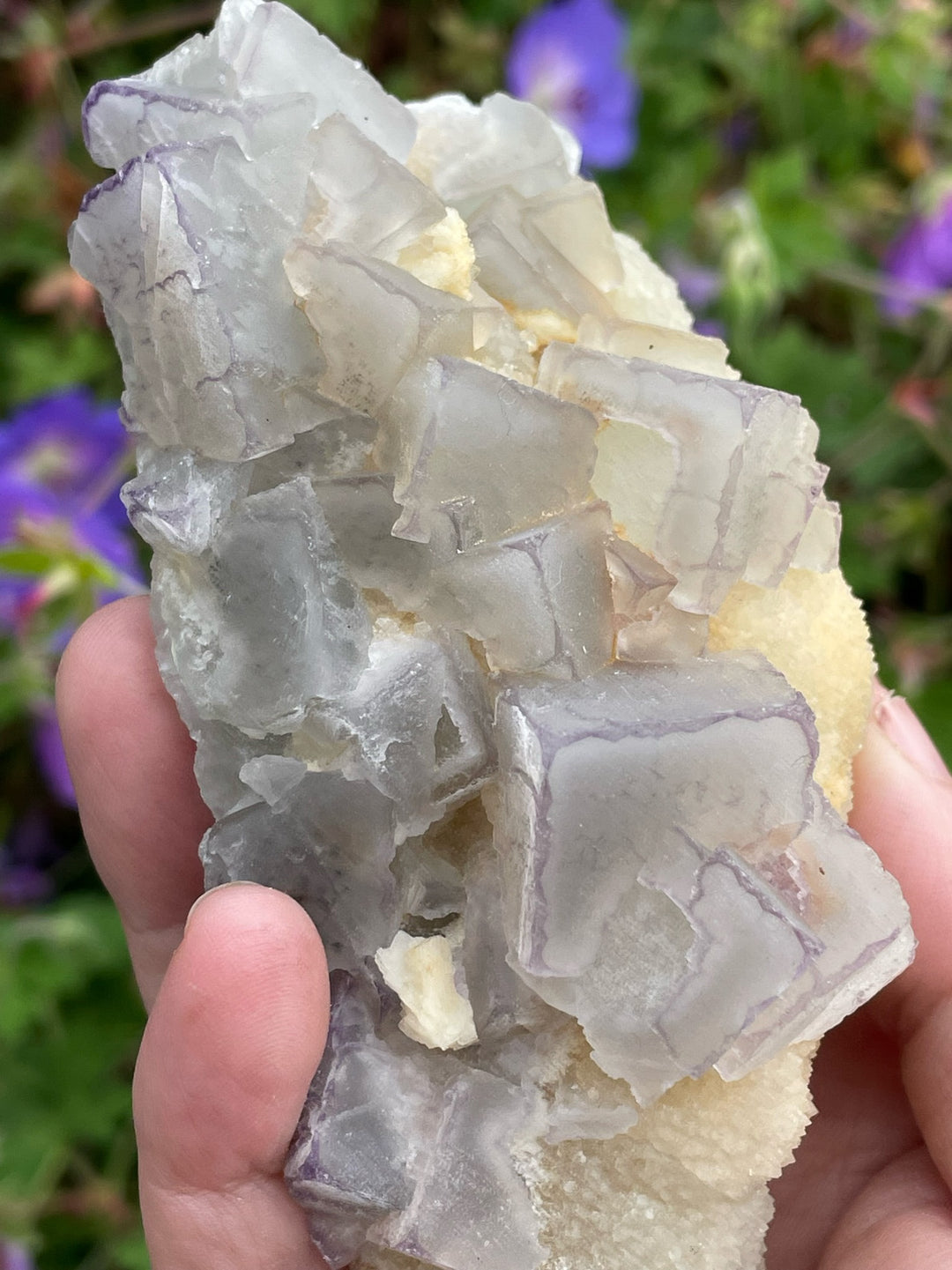 Bicolour Cubic Fluorite on Calcite Specimen