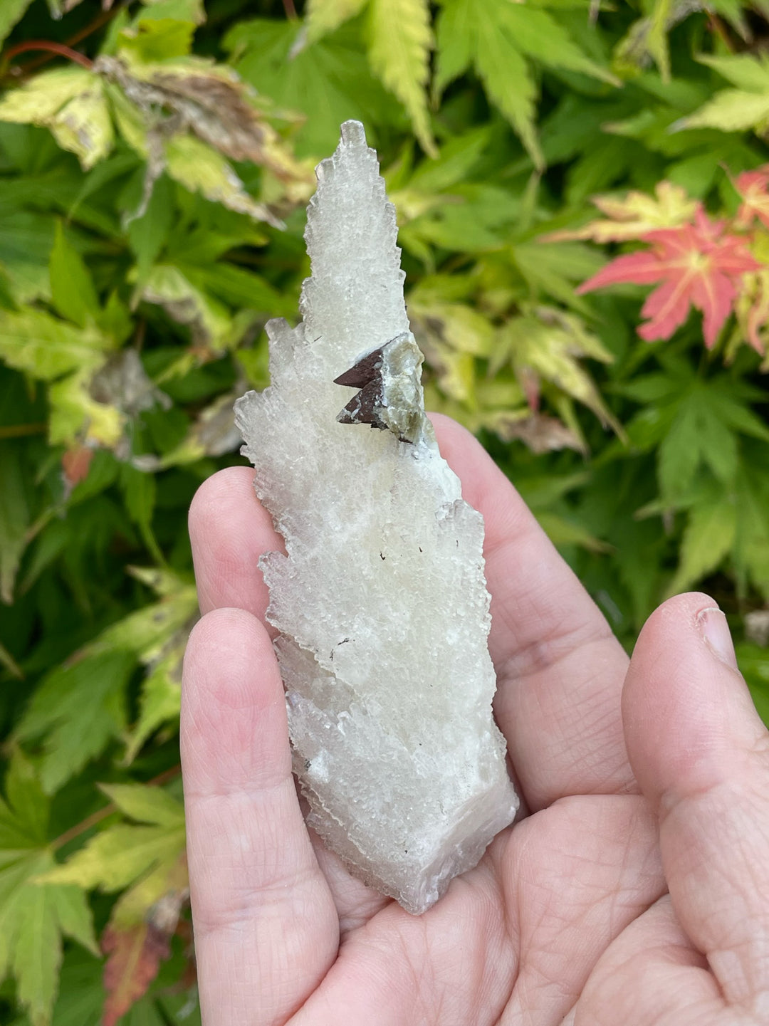 Feather Calcite and Pyrite Specimen