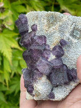 Load image into Gallery viewer, Purple Cubic Fluorite Specimen

