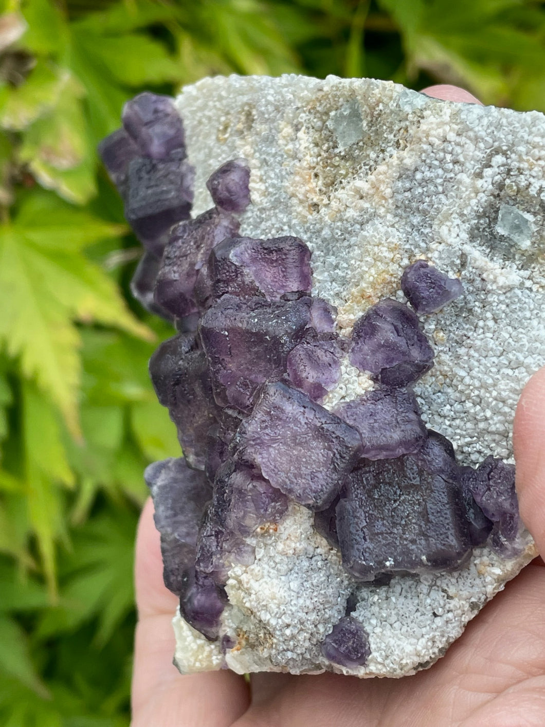 Purple Cubic Fluorite Specimen