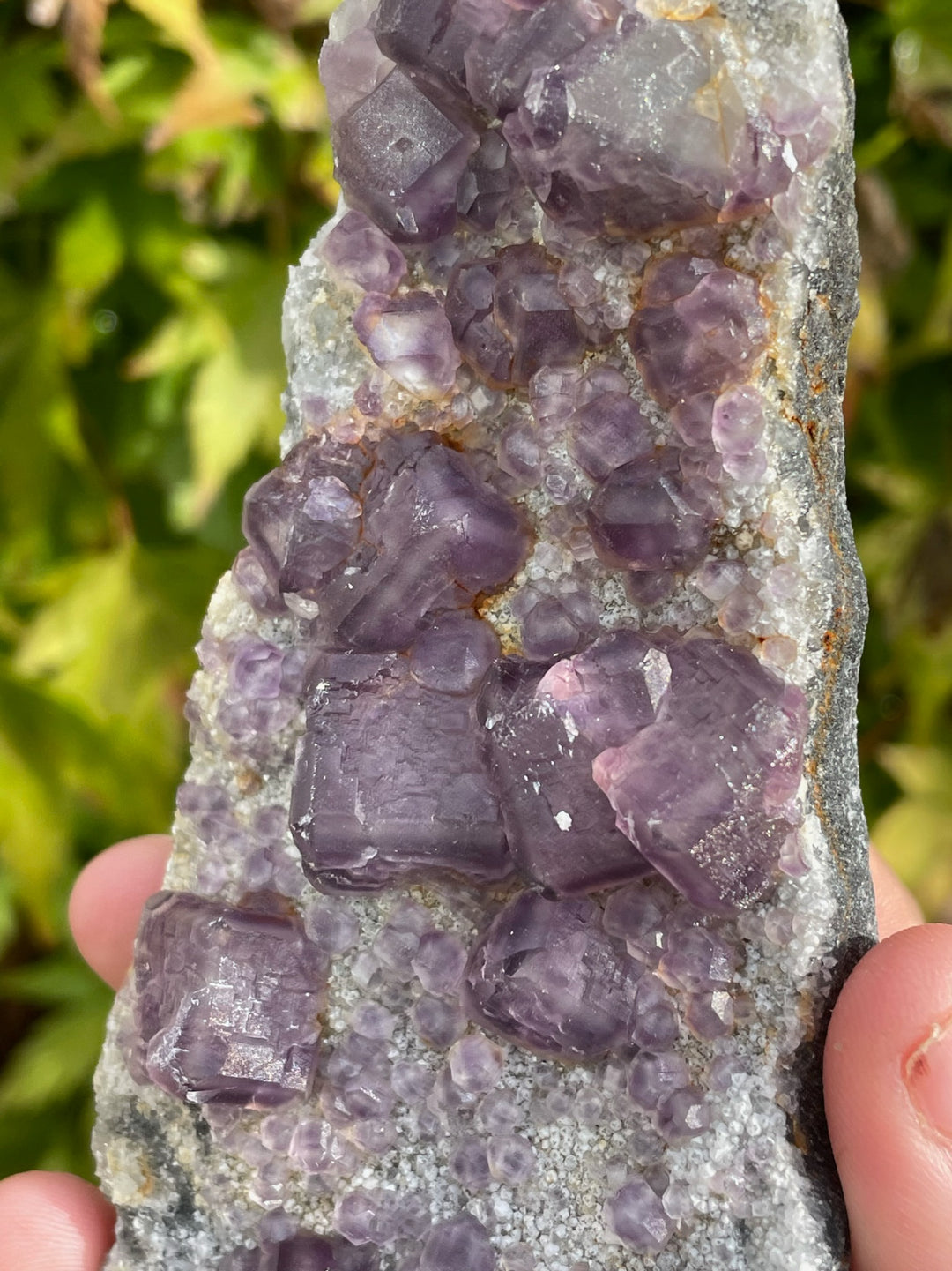 Purple Cubic Fluorite Specimen