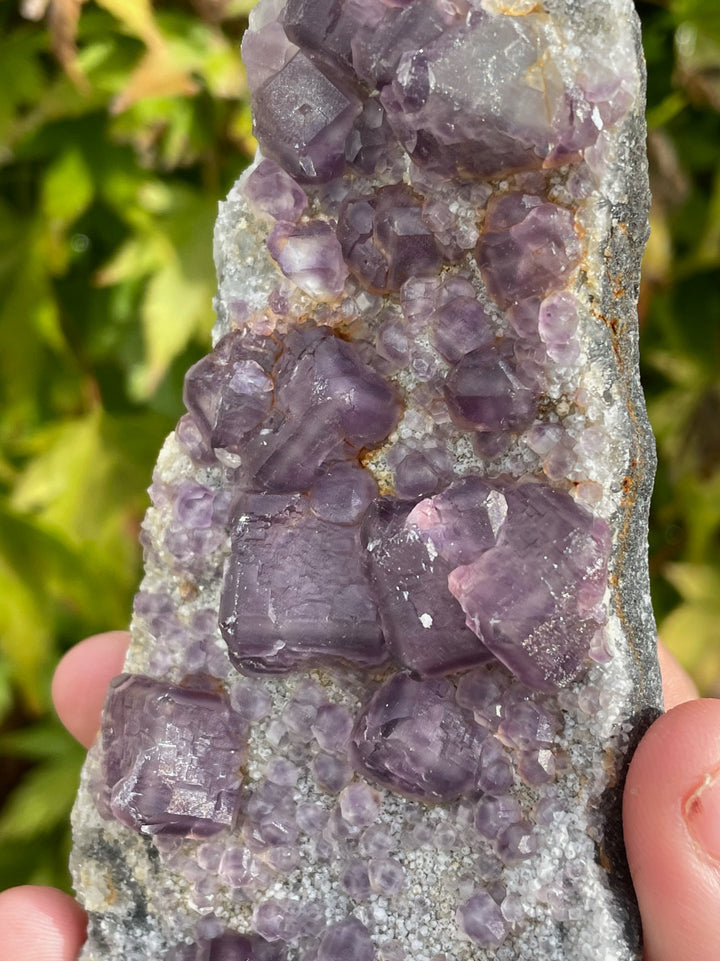 Purple Cubic Fluorite Specimen