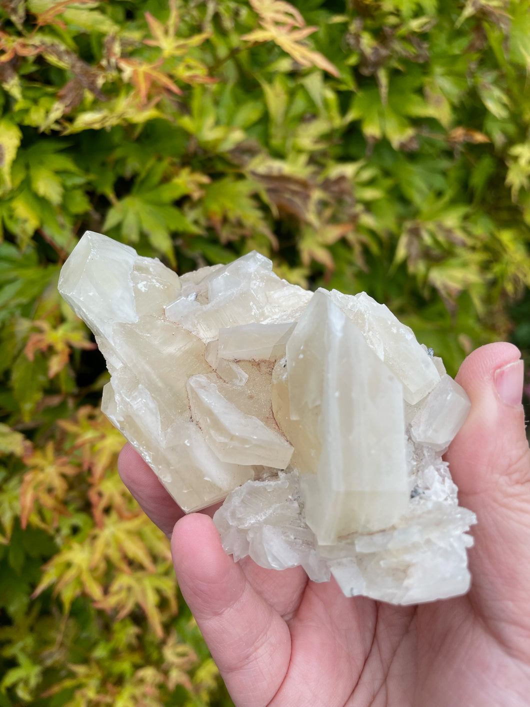Sandwich Calcite Specimen