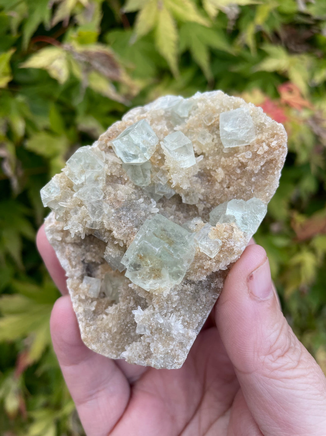 Green Cubic Fluorite Specimen