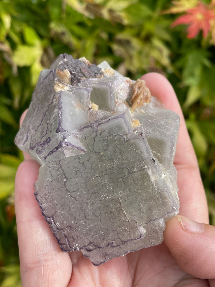 Bicolour QR Code Fluorite Specimen