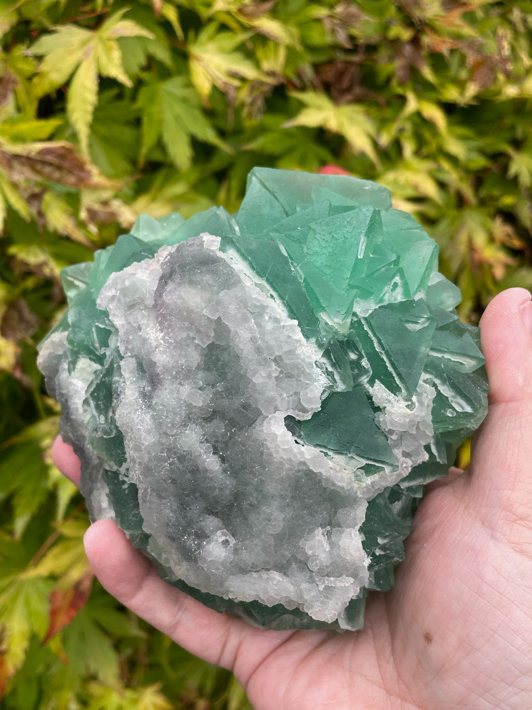 Green Fluorite and Chalcedony Specimen