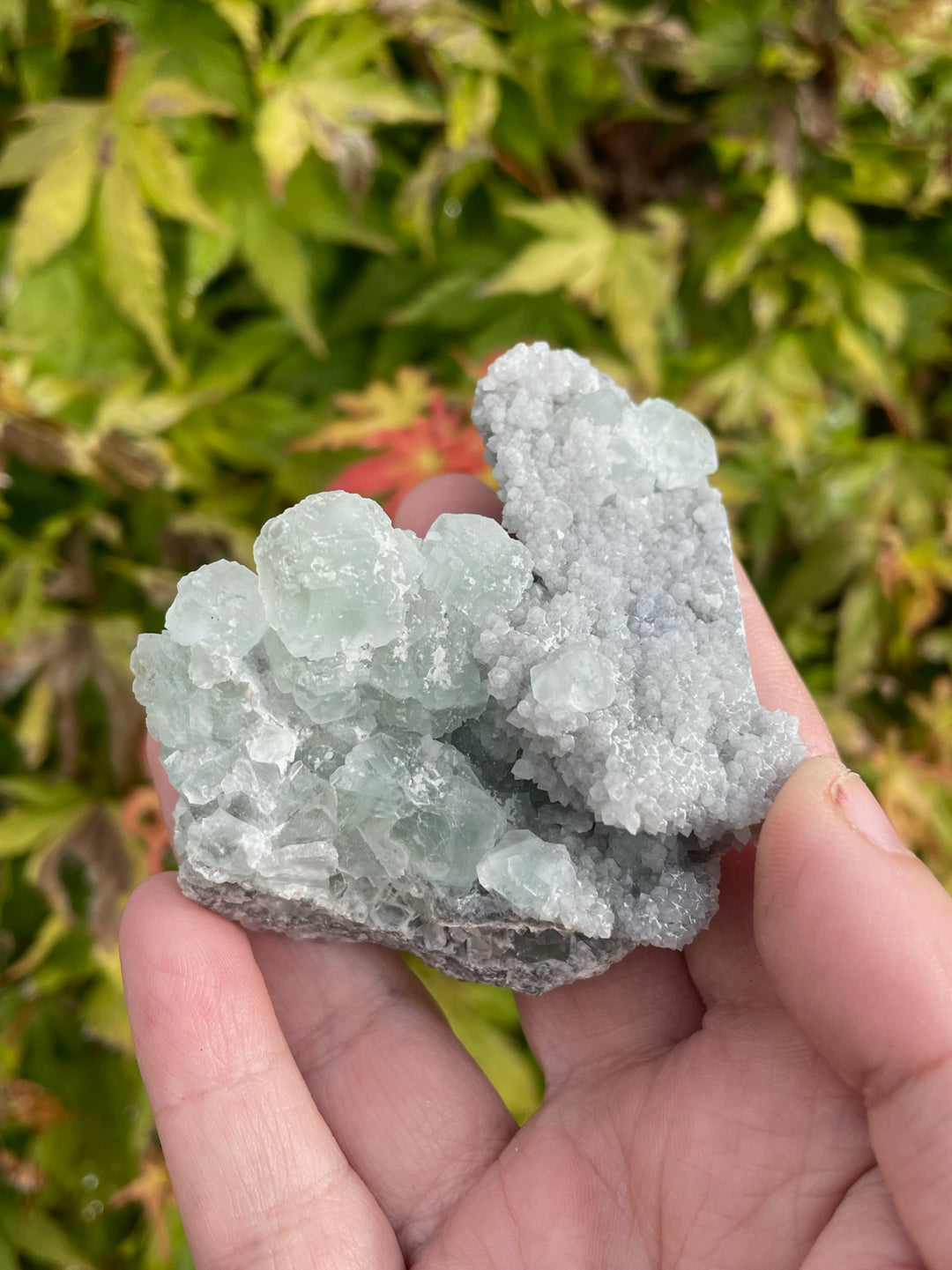 Green Fluorite on Quartz Specimen