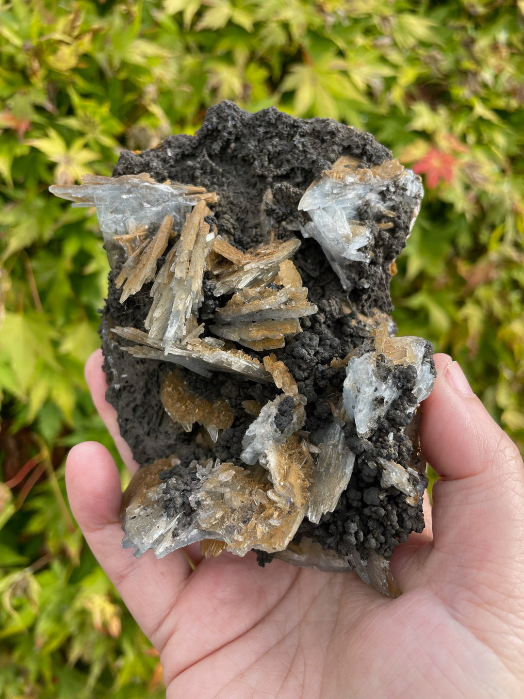 Blue Baryte Blades Specimen