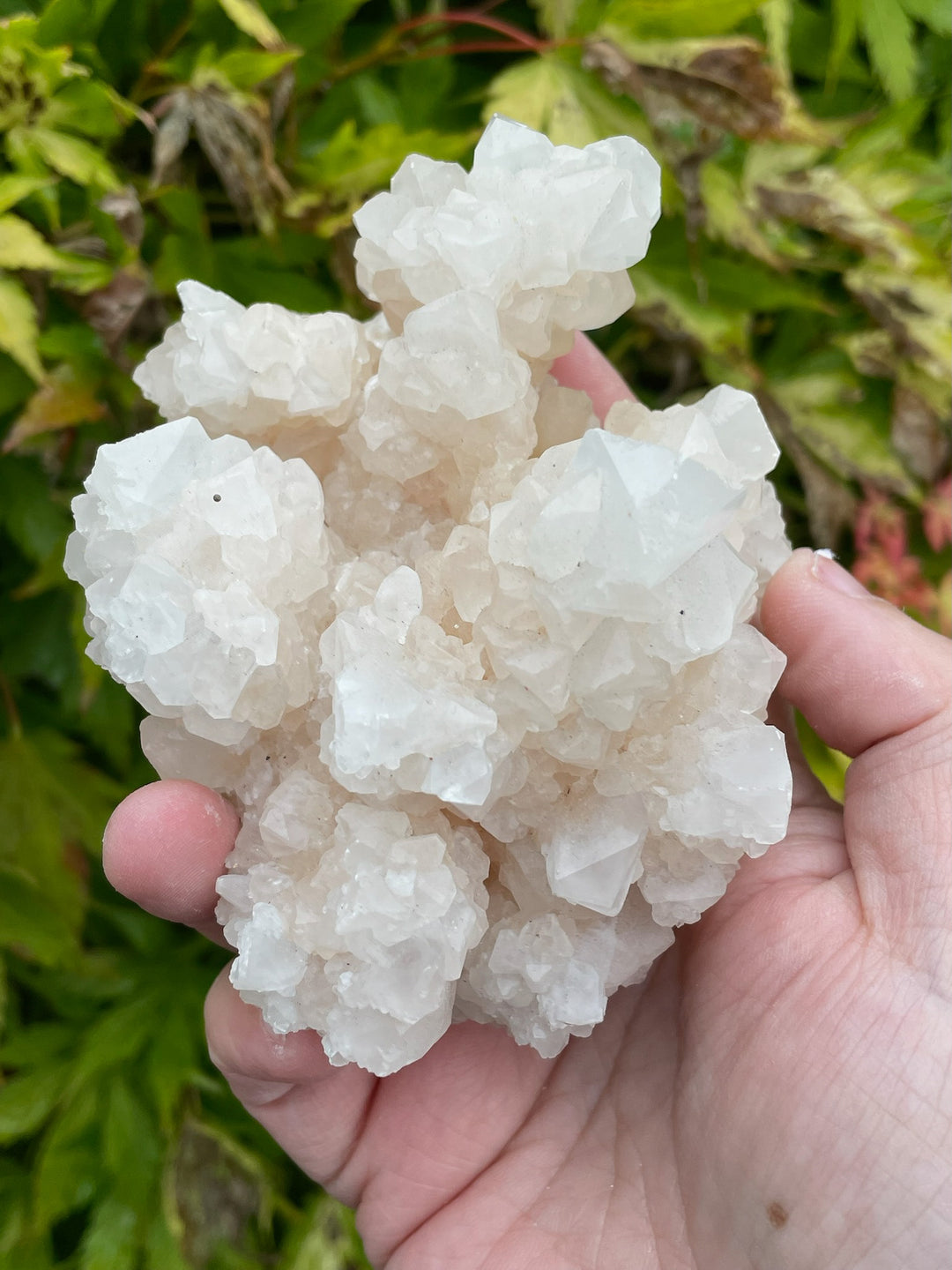 Calcite Specimen