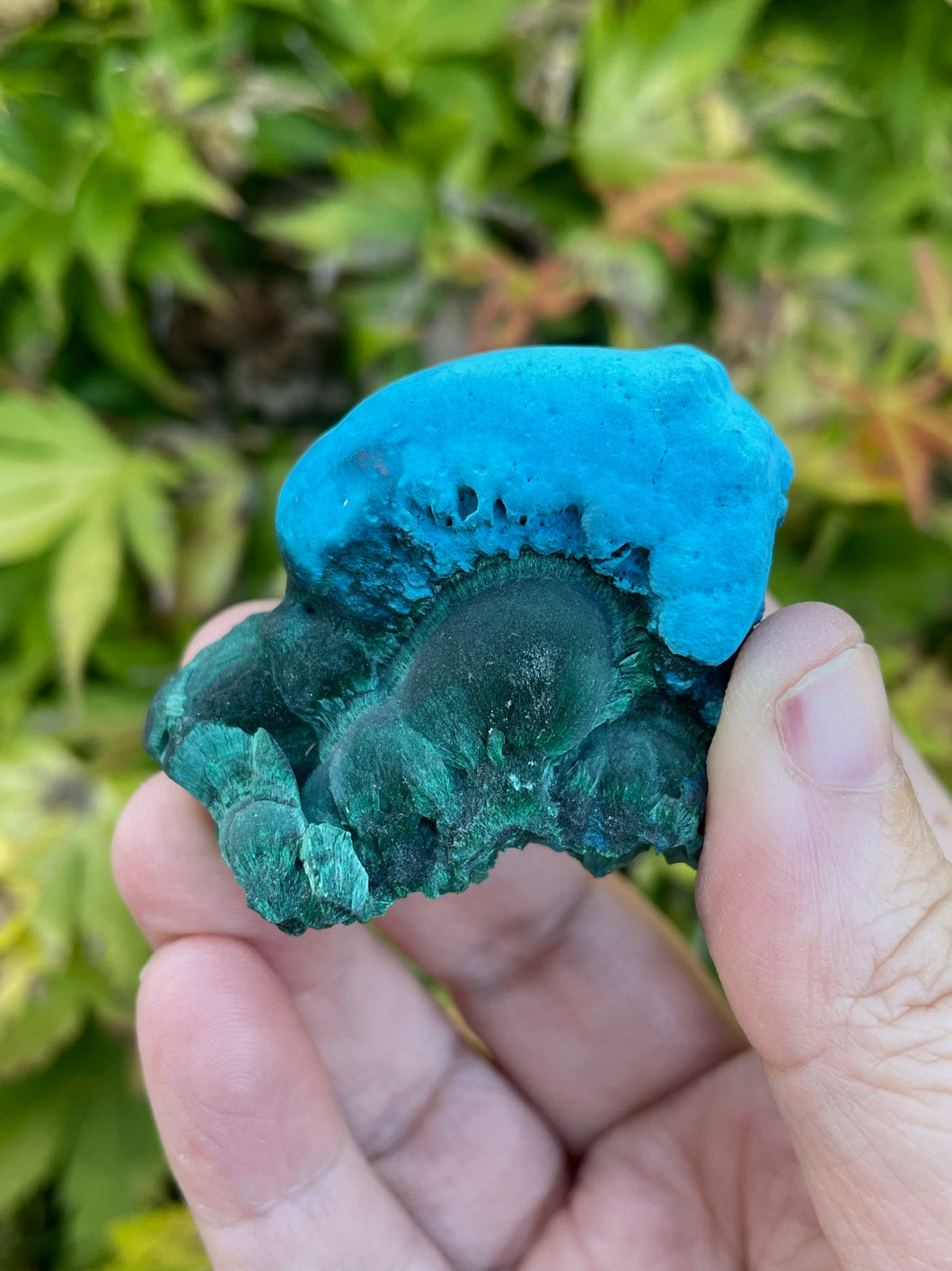 Chrysocolla and Malachite Specimen