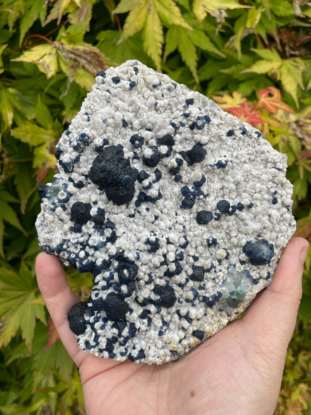 Blue Blueberry Fluorite Specimen