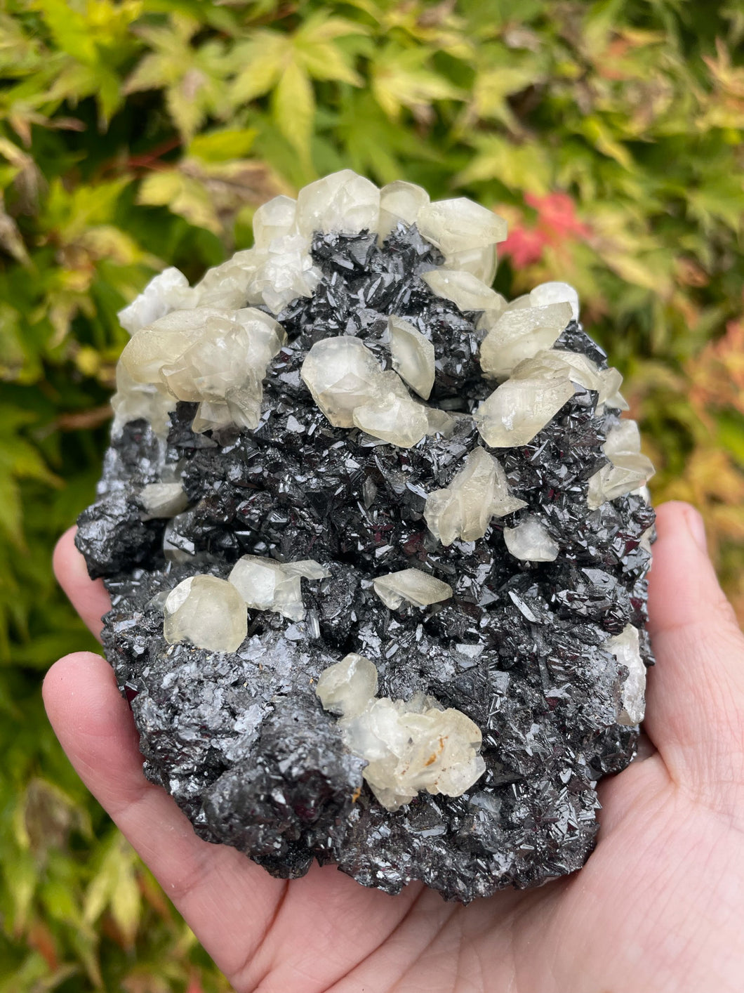 Rare formation of a Calcite and Galena Specimen