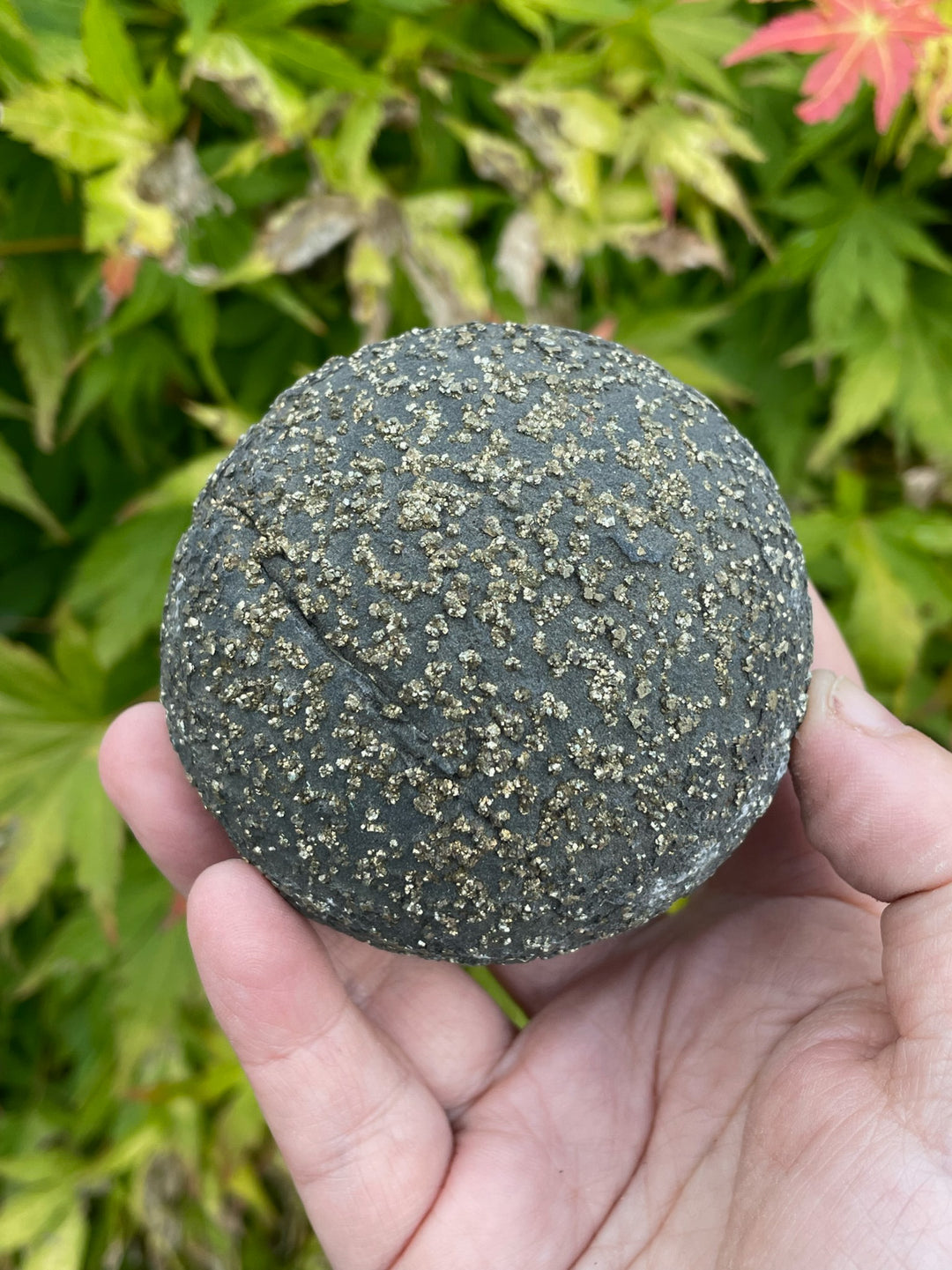 Pyrite Nodule Specimen