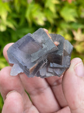 Load image into Gallery viewer, Blue Cubic Fluorite Specimen
