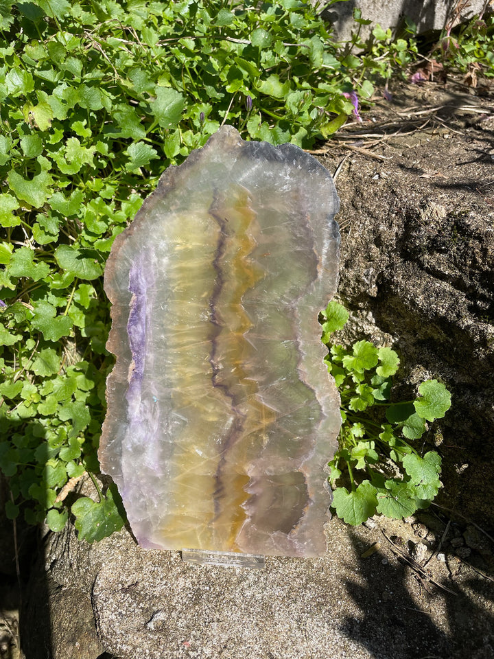 RESERVED Large Fluorite Crystal Slice