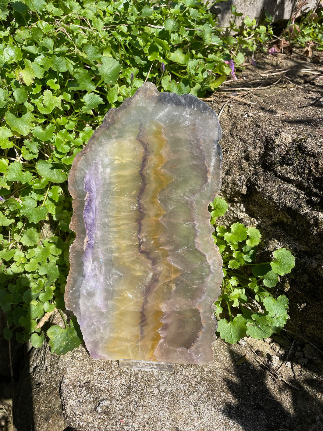 Large Fluorite Crystal Slice