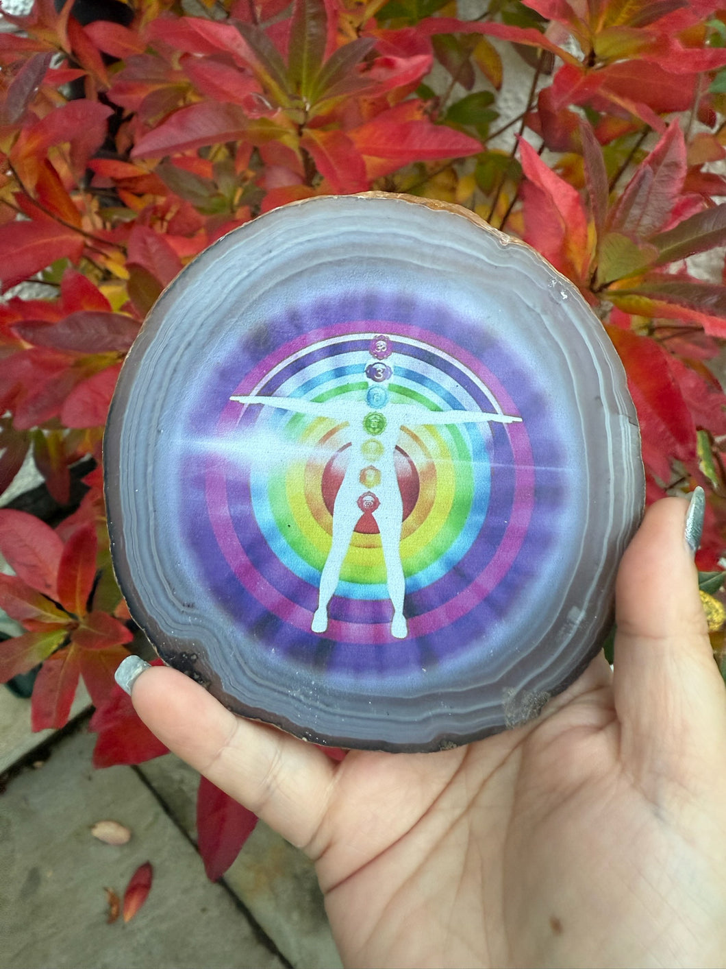 Chakra Agate Crystal Slice