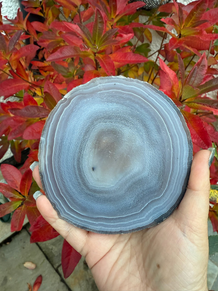 Chakra Agate Crystal Slice
