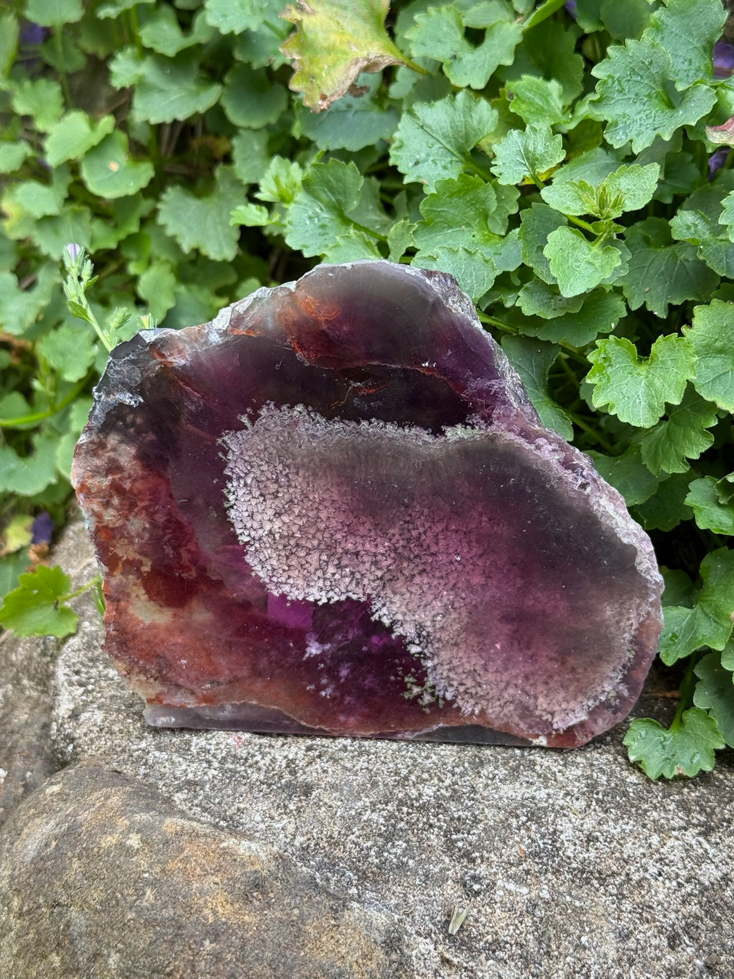 Unusual Freestanding Purple Fluorite Slice