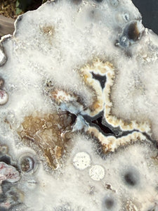 Unusual Merlinite Dendritic Opal Slice Carving