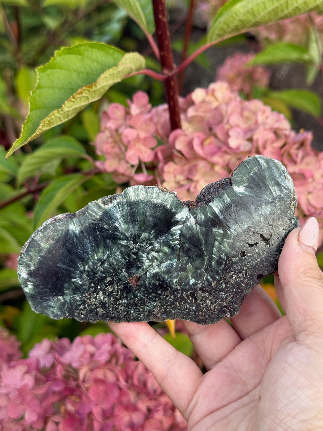 Stalactite Seraphinite Slice